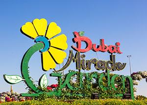 The Newest Floral Wonders and Facilities in Dubai Miracle Garden